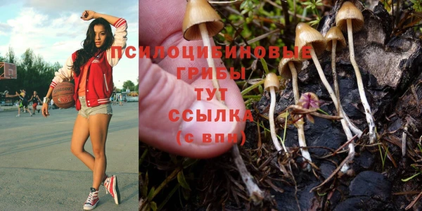 ГАЛЛЮЦИНОГЕННЫЕ ГРИБЫ Баксан