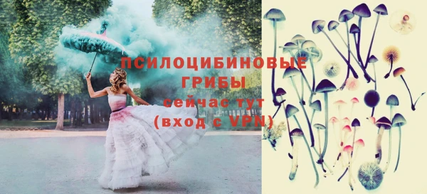 ГАЛЛЮЦИНОГЕННЫЕ ГРИБЫ Баксан